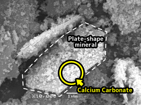 Plate-shape mineral surface-treated with fine particle Calcium Carbonate.